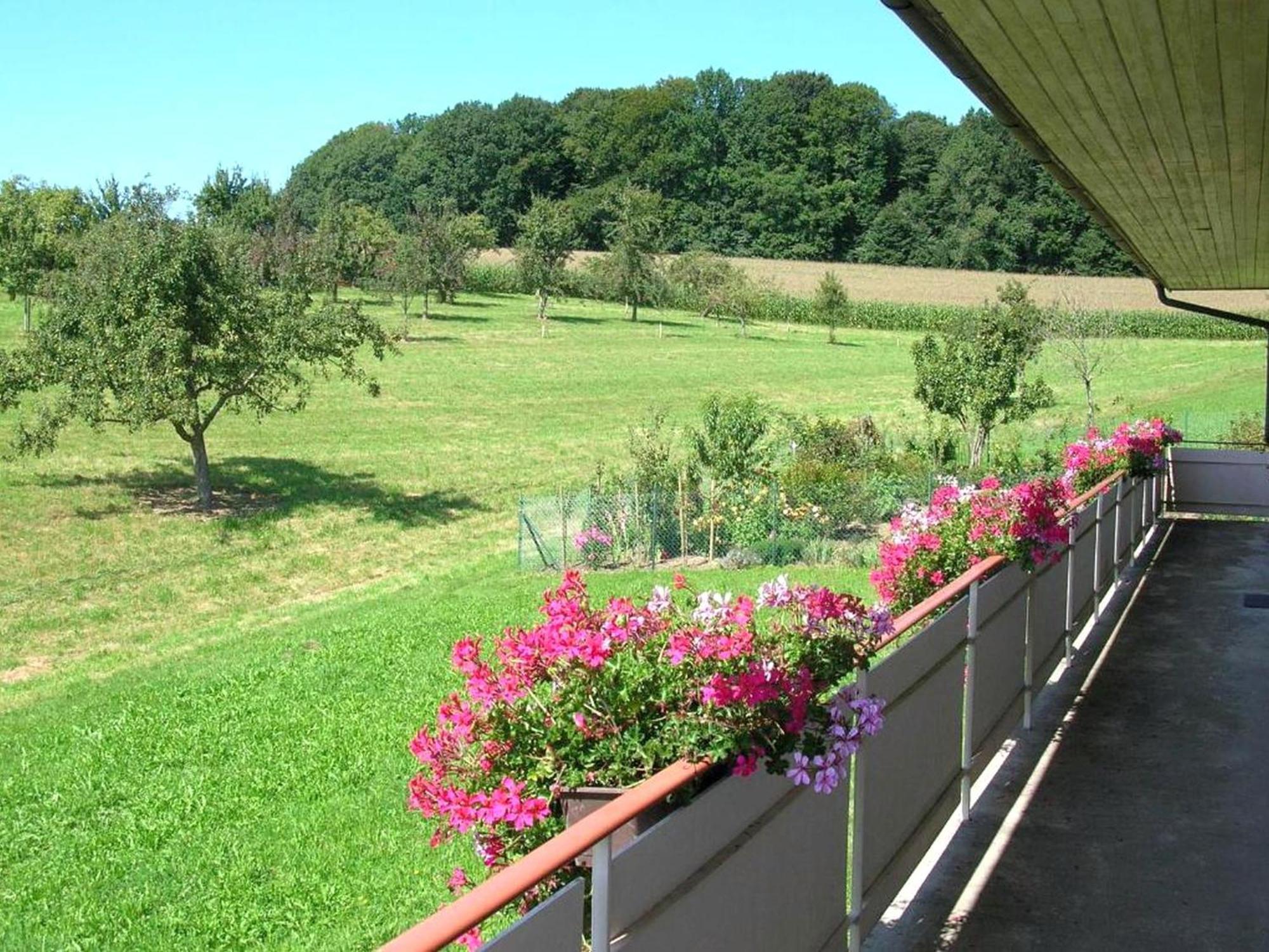 Fewo Siglinde Schneider Freiamt Exterior foto
